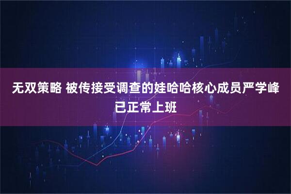 无双策略 被传接受调查的娃哈哈核心成员严学峰已正常上班