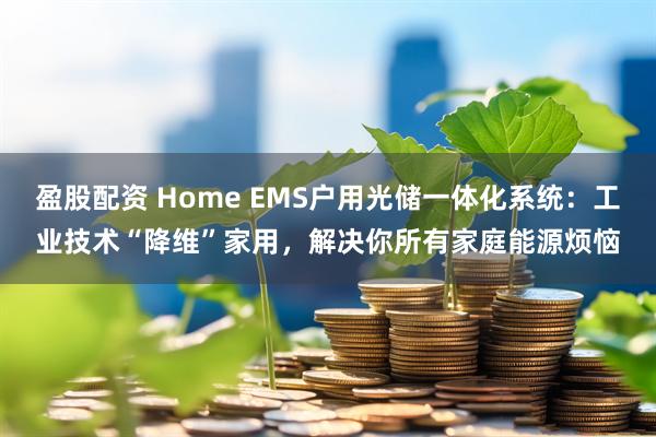 盈股配资 Home EMS户用光储一体化系统：工业技术“降维”家用，解决你所有家庭能源烦恼